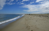 Chatham -1.jpg
