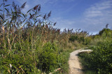 RC-090609-0072.jpg