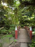 Akasaka Hikawa Shrine IV