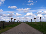 The famous Dr. Larij road