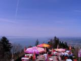 Bodensee view