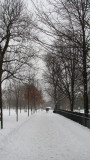 Winter in the Park - Toronto