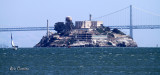 Alcatraz and the Bay Bridge from Sausalito, CA