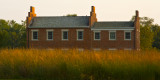 Prairie Grass in Nauvoo