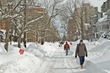 Downtown Street