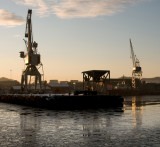 Cranes in low light