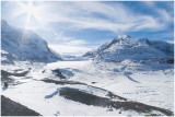 Columbia Icefields .jpg