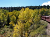 First autumn colours