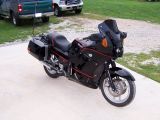 Black Beauty 2.jpg