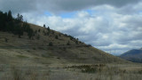 See the road on the hillside? Thats the road through the prairie to find bison!