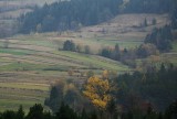 landscape around Mszana Dolna