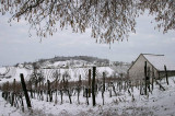 Winter,Wildenduernbach