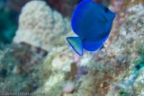 IMG_4939.jpg