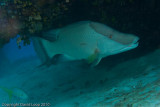 IMG_4980.jpg