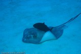 IMG_5038.jpg