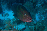 IMG_5057.jpg