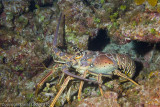 IMG_5077.jpg