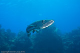 IMG_5092.jpg