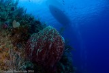 _MG_0662.jpg