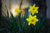 CRW_2177.jpg