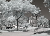 Jardim de Teófilo Braga / Praça da República