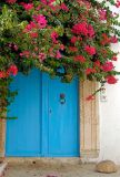 Little blue door