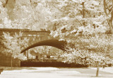 park bridge