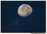 moon4590.jpg