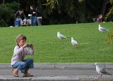 girl photographing gull.jpg