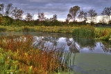 Autumn At Knox Equestrian Pond