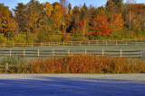 First Frost On Knox Field