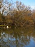 Kayak on Tonawanda Creek