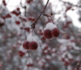 DSC_7748.JPG