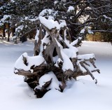 DSC_7778.JPG
