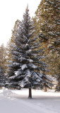 DSC_7781.JPG