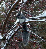 DSC_7819.JPG
