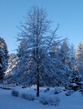 DSC_7888.JPG