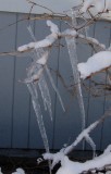 DSC_7907.JPG