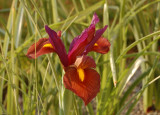 DSC_0354 1024X768.JPG