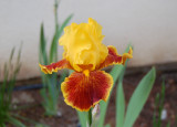 DSC_3560 1024X768.JPG