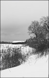 Paysage Hivernal_Winter Landscape