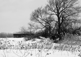 Paysage hivernal_Winter landscape