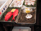 Fresh sea cucumbers and some very brightly coloured fish