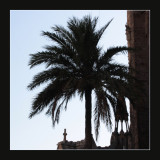 Barcelona Silhouette