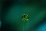 seasonal waterdrop