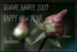 HAPPY NEW YEAR