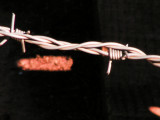 barbed wire