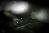 Did I say I didnt like rain????