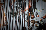 autumn abstraction