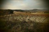 Autumn Mood 2